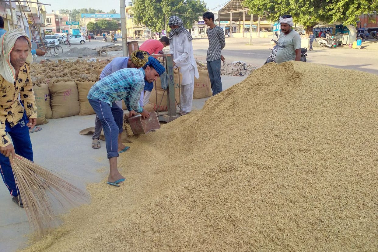 rice sell