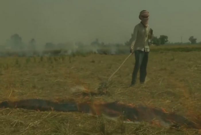 Farmers Clarification on to Burn Stubble
