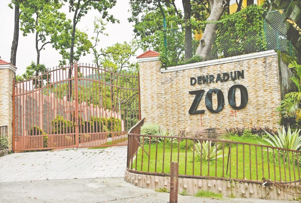 Corona in Uttarakhand: Dehradun Zoo and Anandvan Park closed, Jungle Safari banned in Rajaji Tiger Reserve