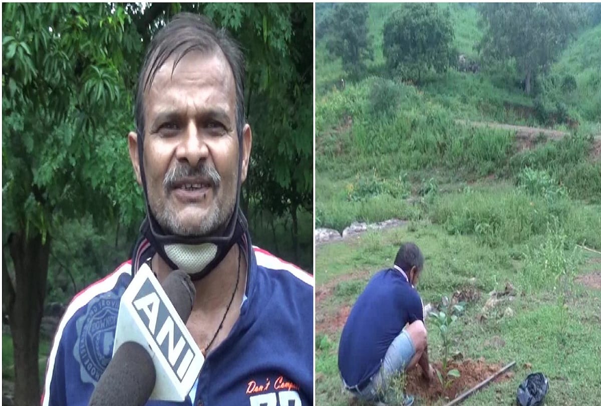 Dileep Kumar Sikandar of Bihar has planted around 1 lakh saplings at Brahmyoni hill in Gaya