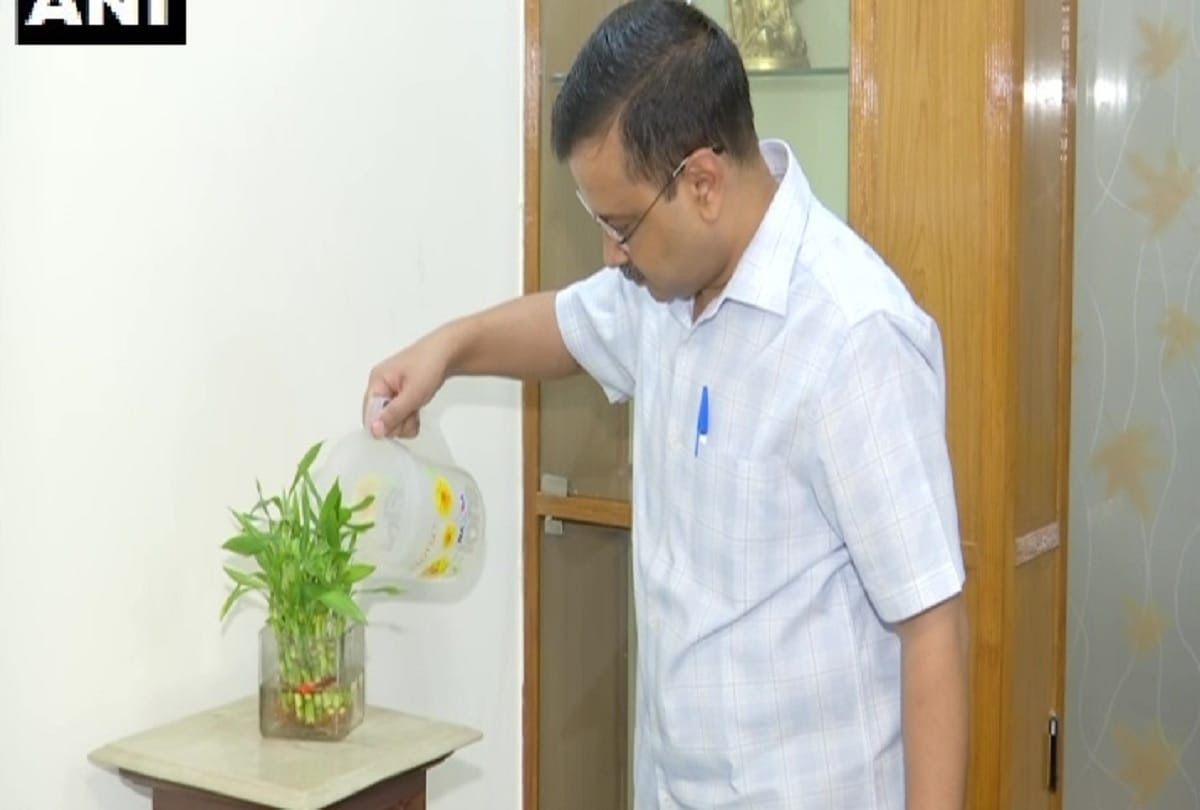 CM Arvind Kejriwal cleans out stagnant water in his house under 10 hafte 10 baje 10 minute campaign