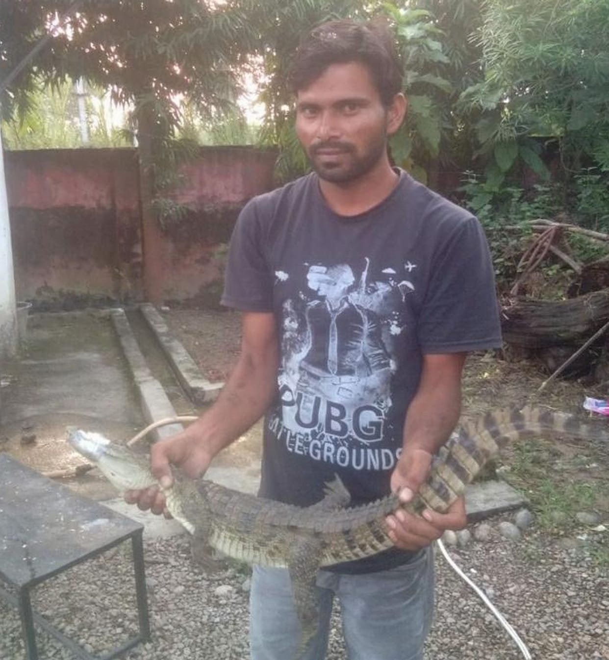 Crocodile entered the villager's house