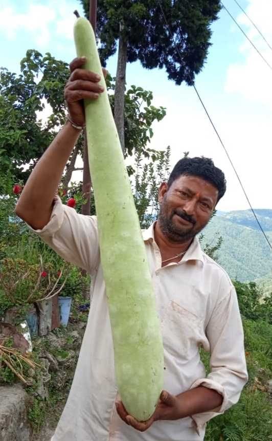 Farming in Champawat