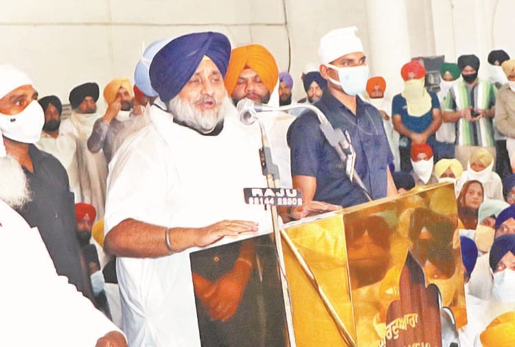 Committee has to be formed to find the captain who talks about leadership says Sukhbir