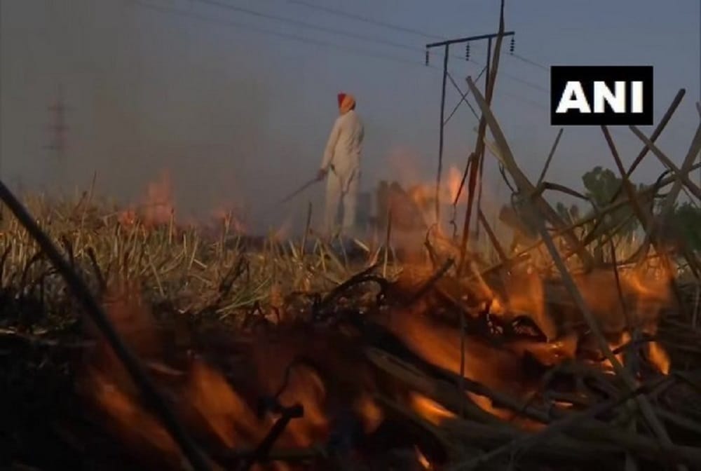 Stop stubble burning in Punjab, Haryana, UP in view of COVID-19 situation: Plea in Delhi HC