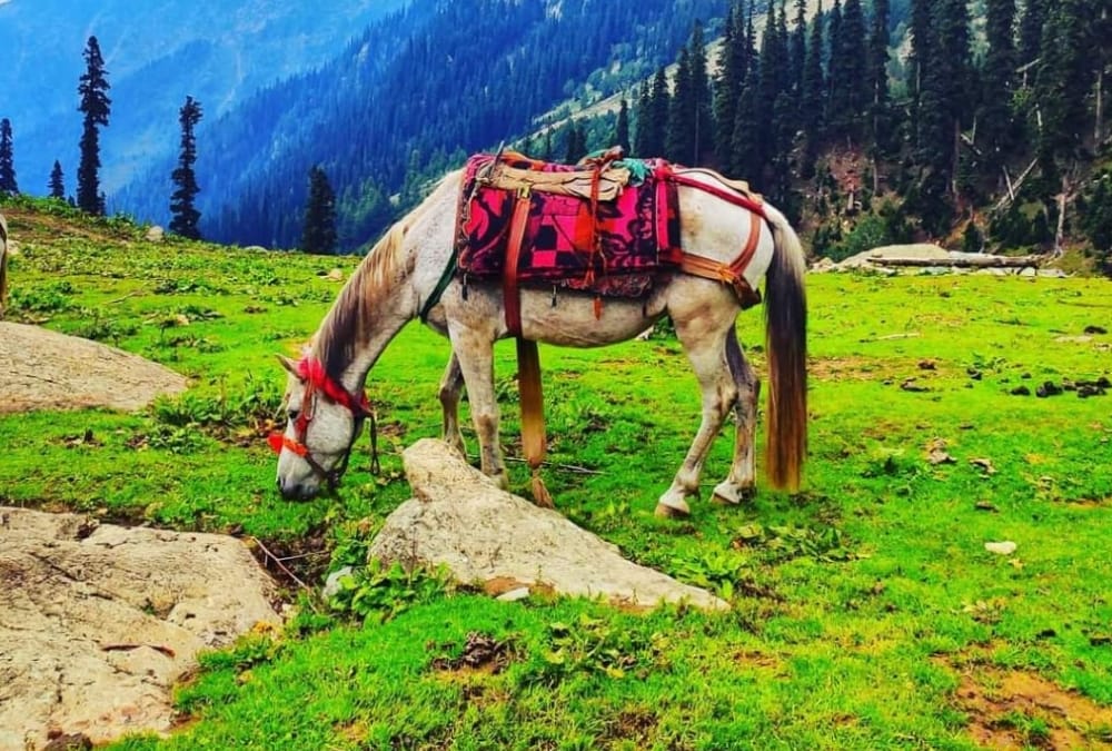 Special story on world tourism day.