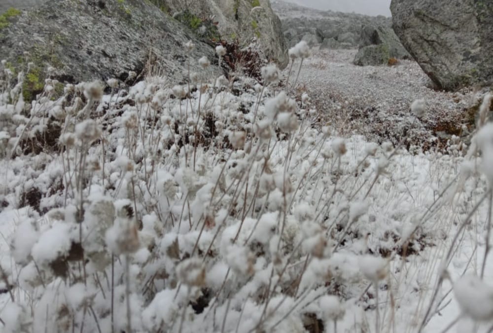 Uttarakhand Weather Forecast Today: Season First Snowfall Beautiful Photos