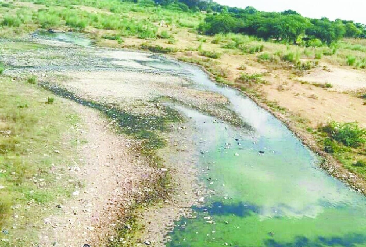 World River Day News Yamuna is the most polluted behind Taj Mahal