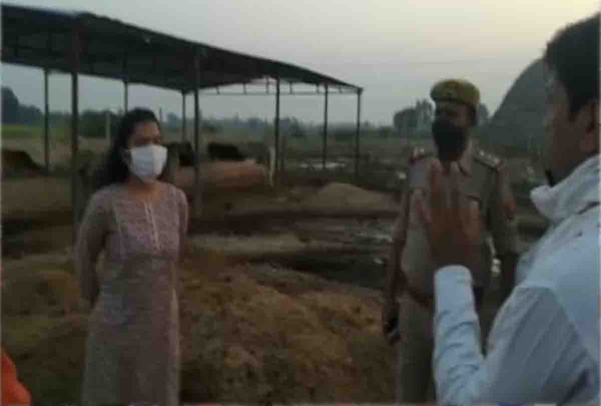 Nine cattle died in Gaushala in hardoi