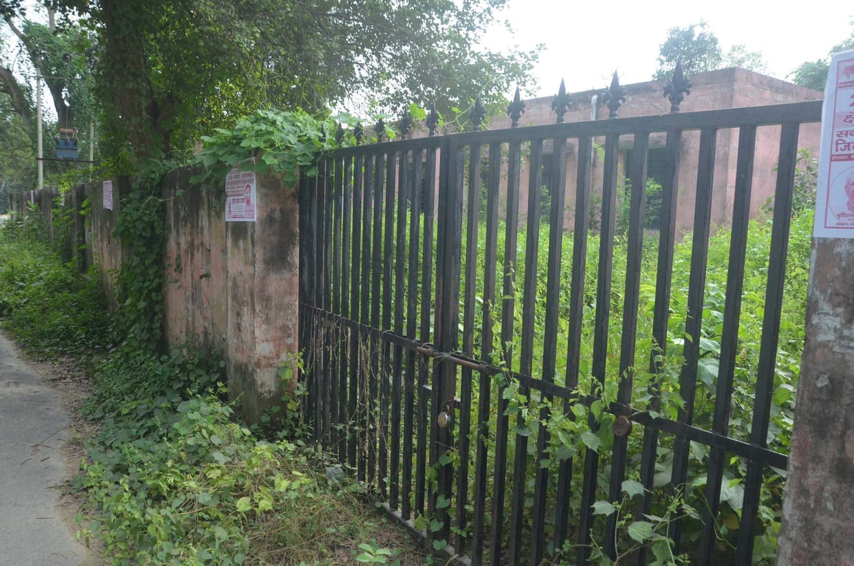 Modern post mortem house lost among bushes