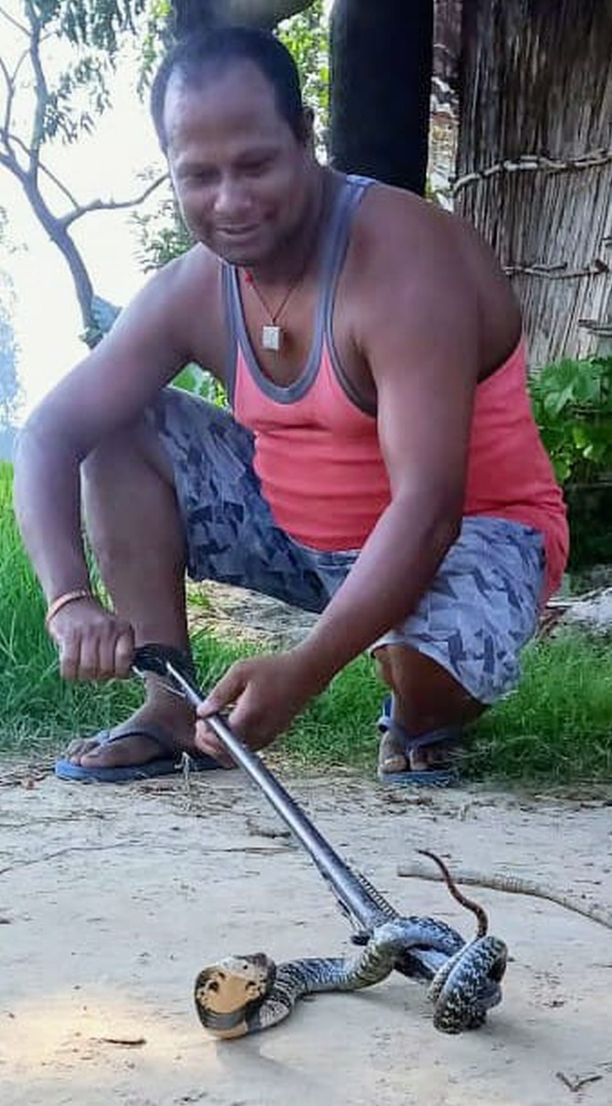 Cobra at House