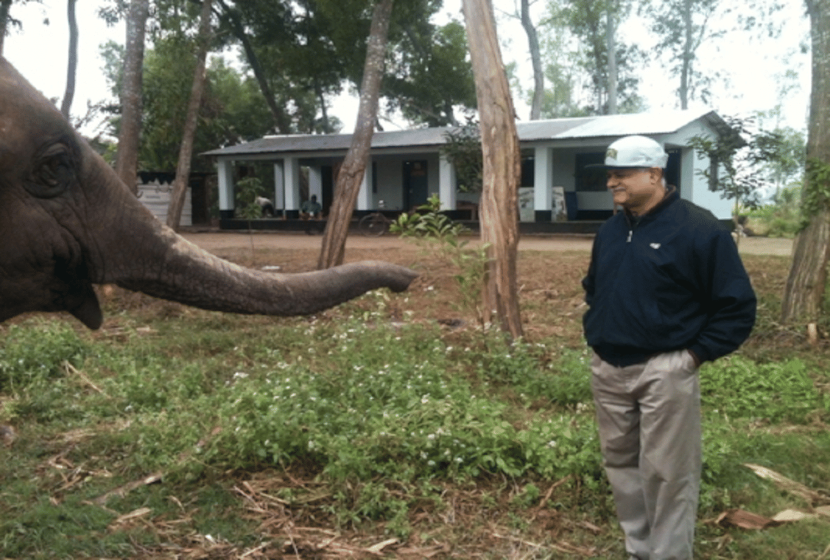 tribute to the elephant man of asia Dr. Kushal Konwar who treats elephants by walking in the jungles