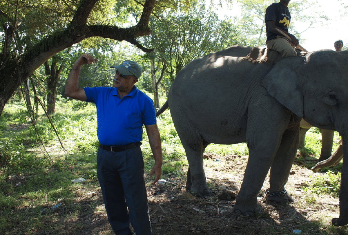 tribute to the elephant man of asia Dr. Kushal Konwar who treats elephants by walking in the jungles