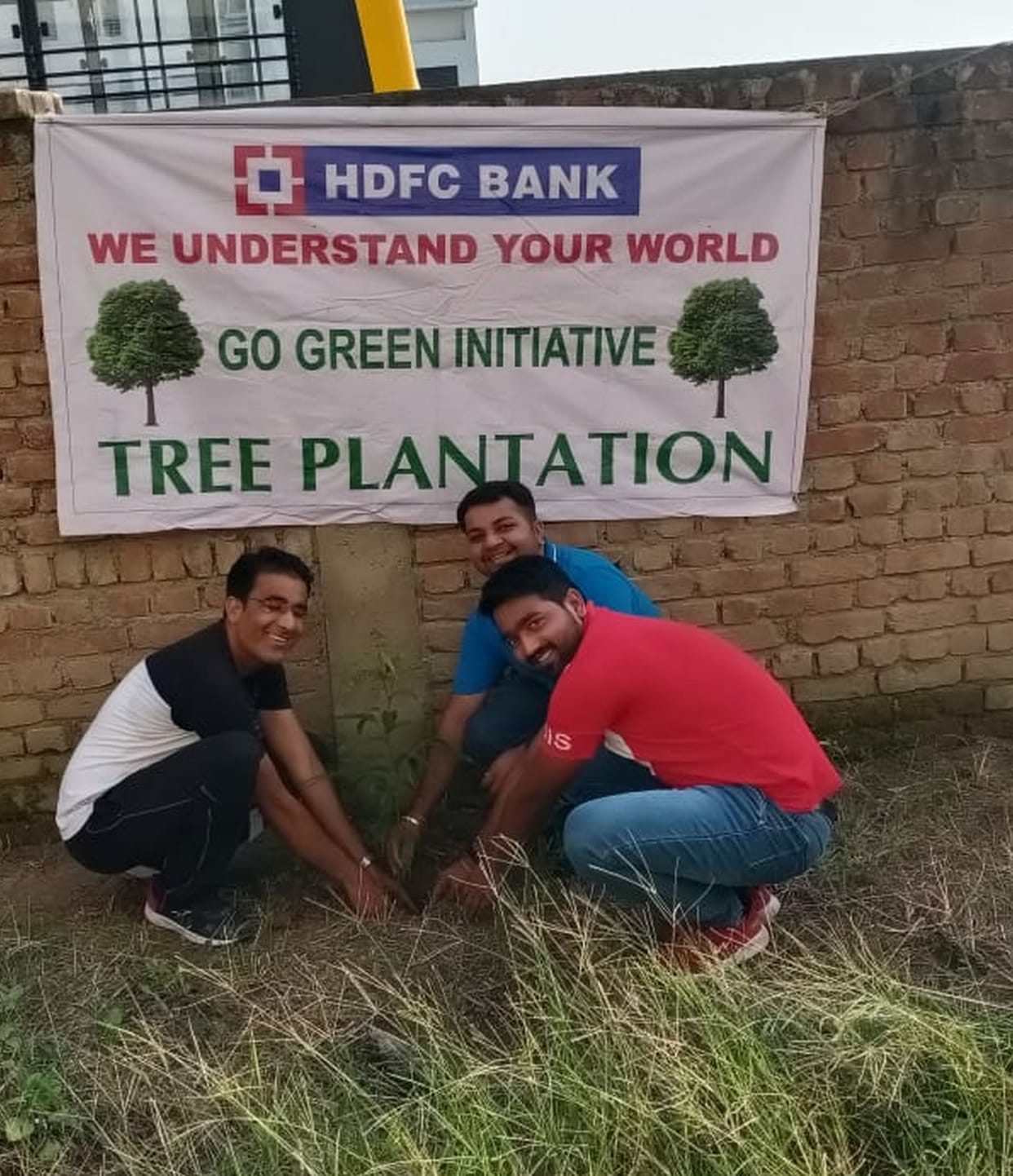 Saplings Plantation at School