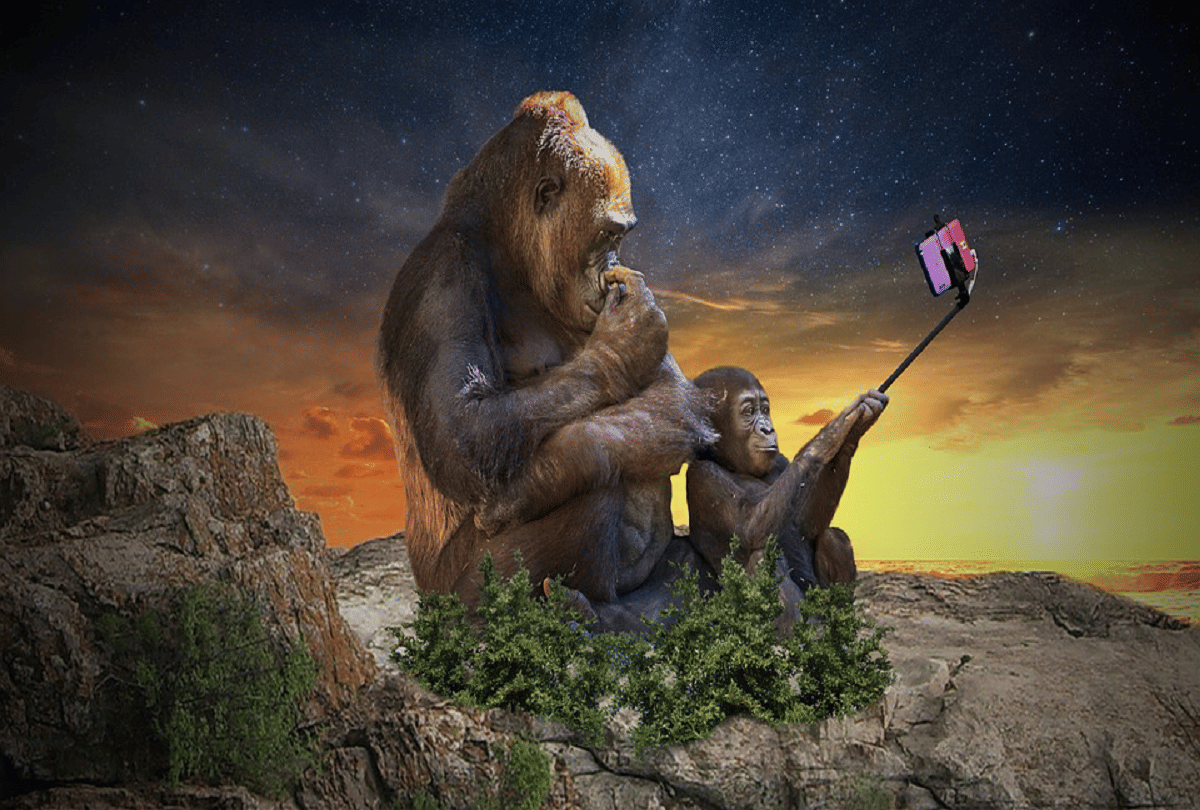 history and interesting facts about selfie