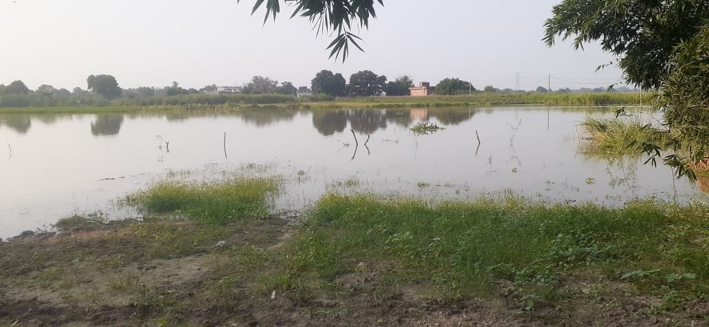 flood