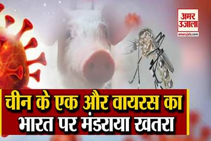 cat que virus: icmr warns india to protect from another viru cat que virus after corona virus