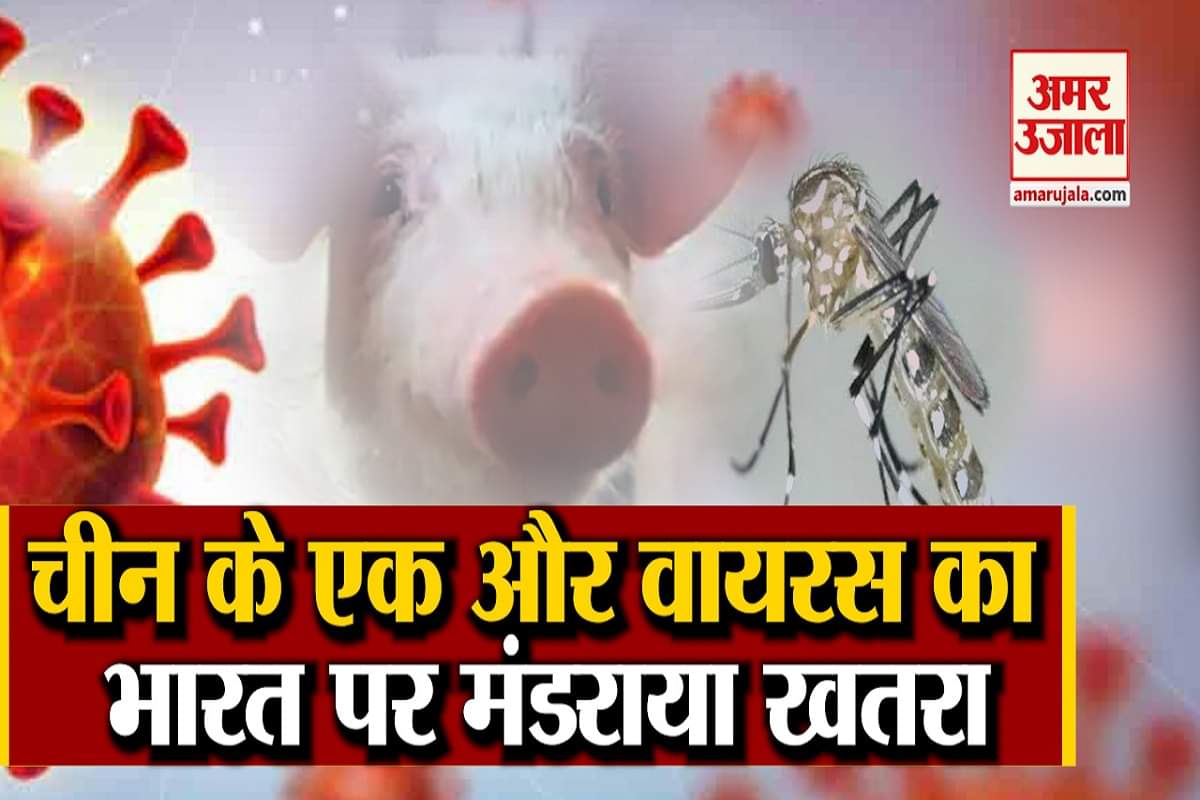 कैट क्यू वायरस