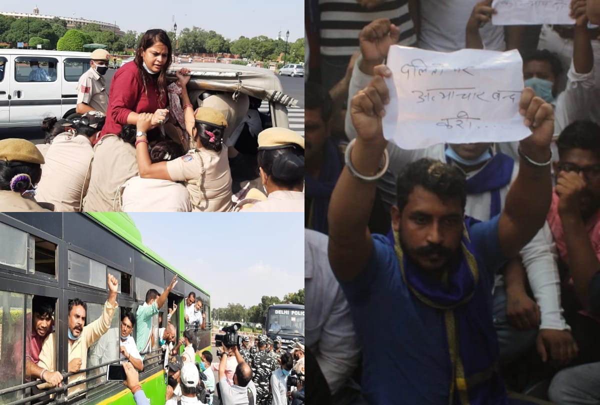 Hathras Gang Rape Case News: Forensic Report Says No Tongue Cut But Injured Protest Of Bhim Army Chandrashekhar At Safdarjung Congress At Vijay Chowk