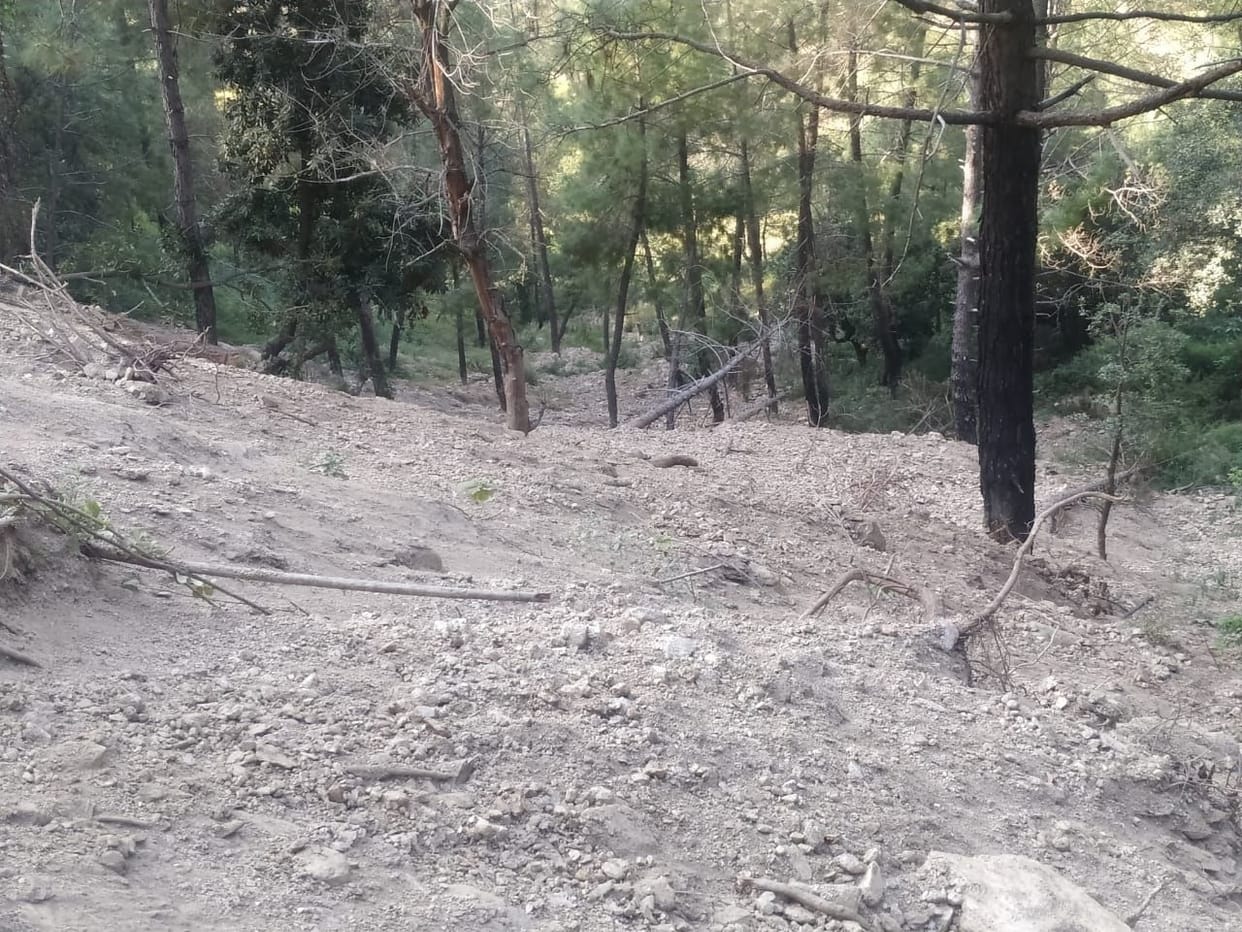 Mountains ripped in the name of road construction