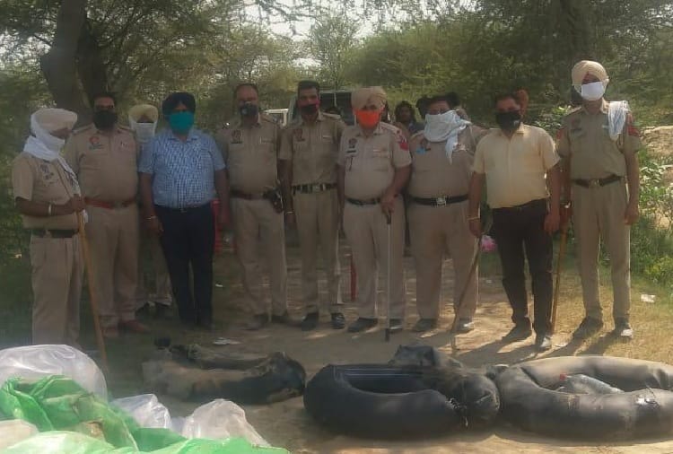 BSF caught heroin from indo-pak border in Firozpur of Punjab