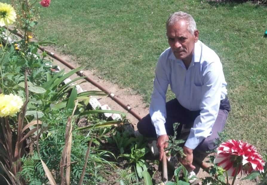 Both sons abroad, elderly Sharma is handling the responsibility of home himself