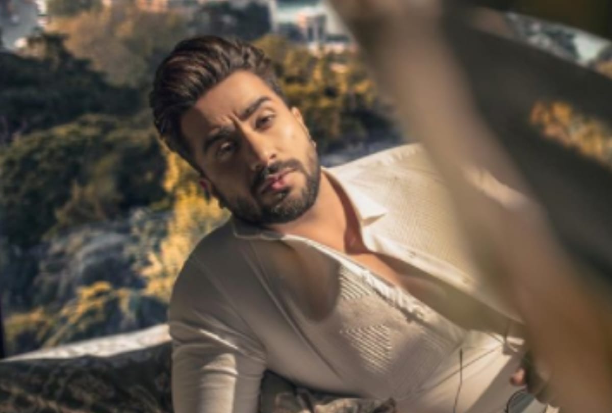 Bigg Boss 14 Aly Goni answering to trollers who called him Jasmin Bhasin bodyguard for support her