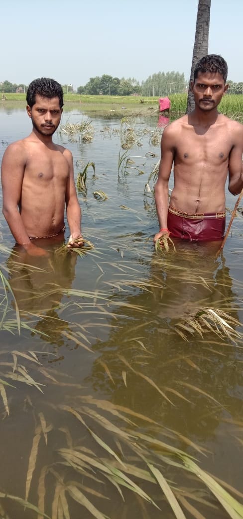 flood