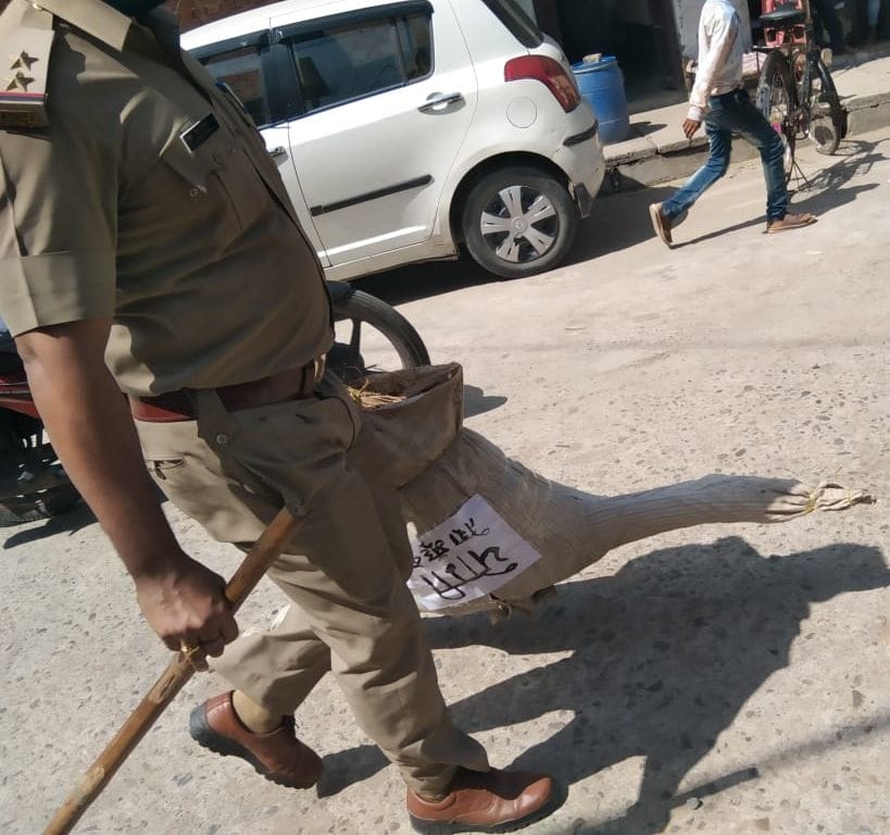 two congress workers arrested due to prepration of burning effigy of chiefminister  in haatras rape matter