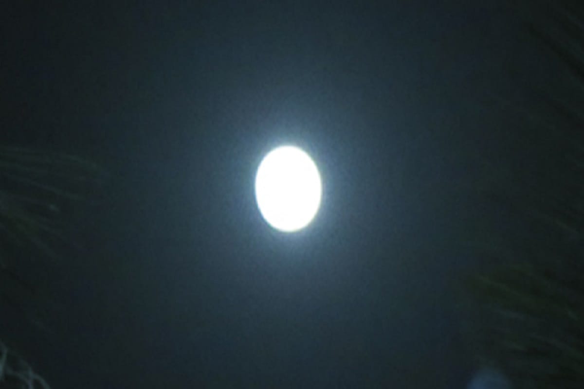 Jyeshtha Purnima 2021 date timing take these measures get money and fulfils your wises