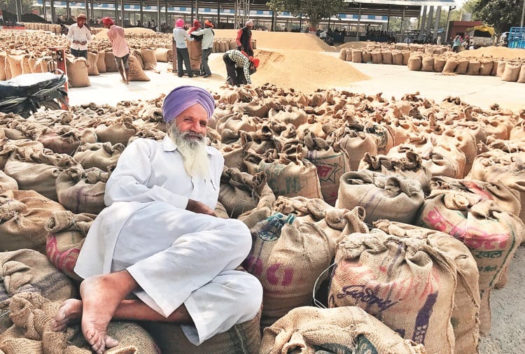 Ground report of Paddy Procurement in Punjab and Haryana