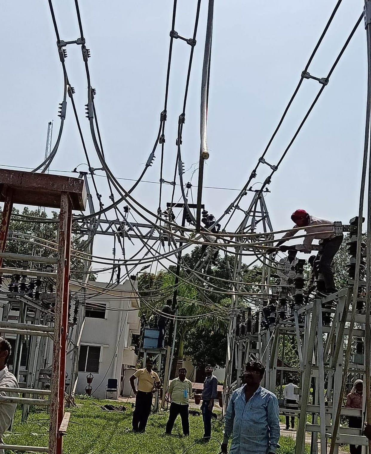 35-year-old Zebra line changed in preparation for festivals in banda