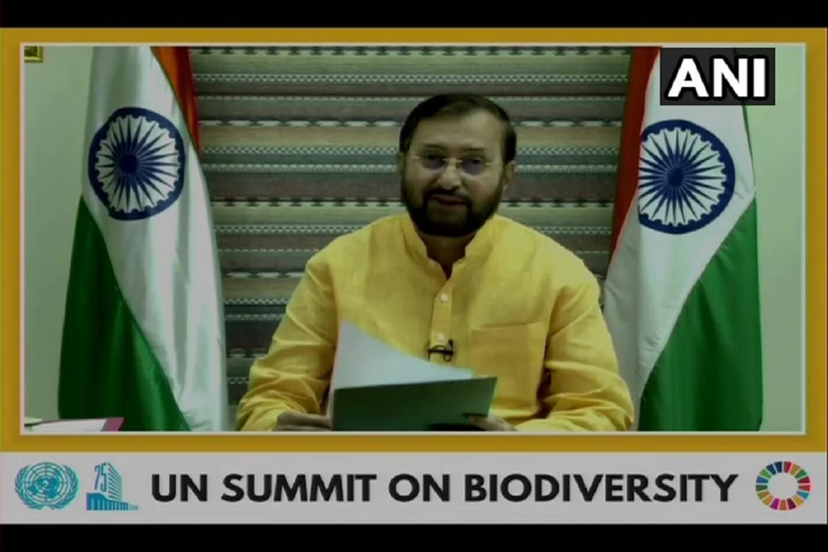 Prakash Javadekar at UN Biodiversity Summit India aims to restore 26 million hectares of degraded and deforested land