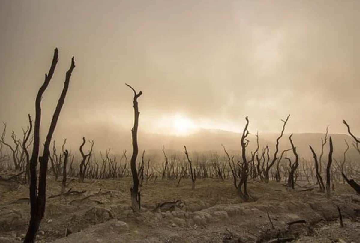 most fatal place on earth red zone of france known as zone rouge