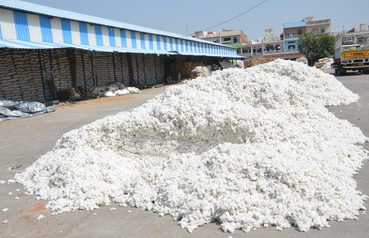 farmers, market, purchesing bajra