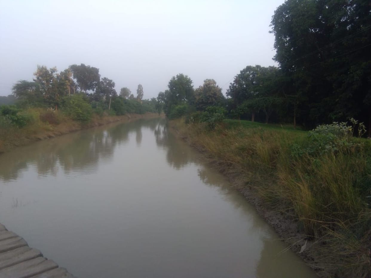 150 crores spent on cleaning bushes