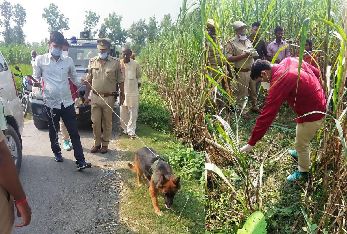 Dead body found in sugarcane field at kushinagar