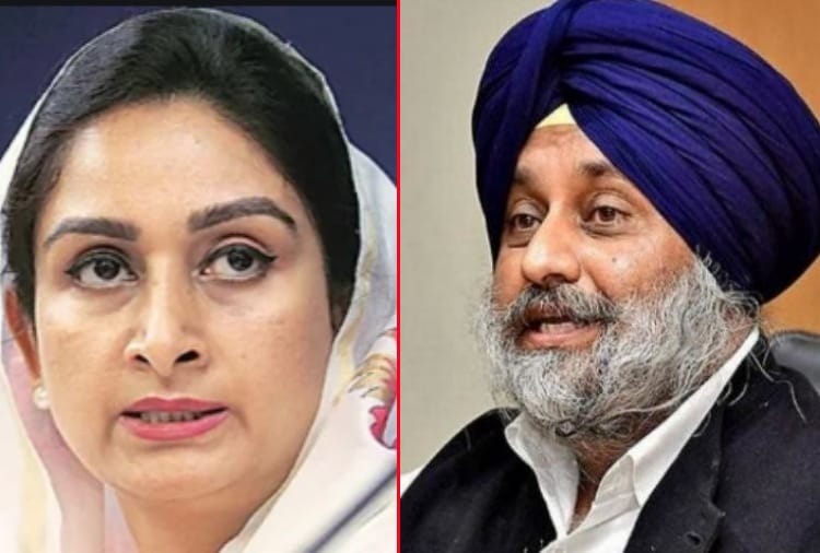 Farmers protest: Shiromani Akali Dal march from Punjab to Chandigarh today