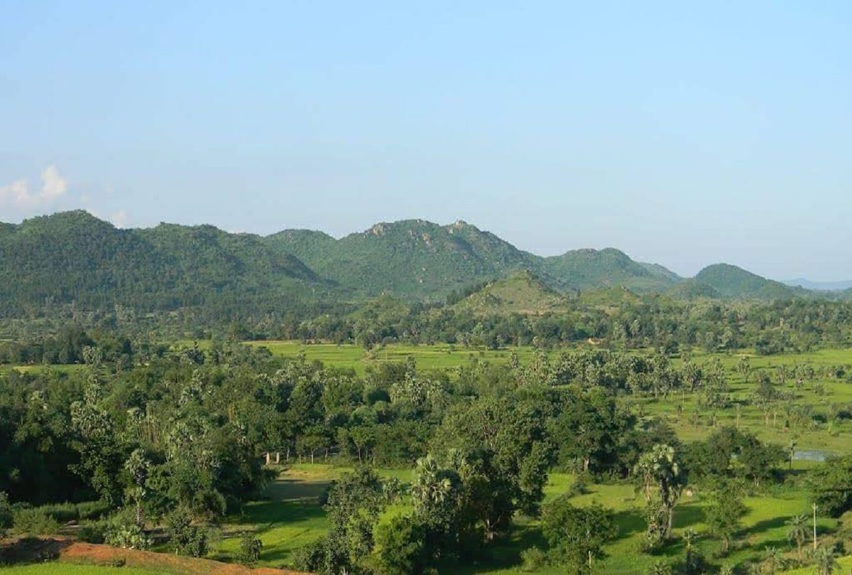 Urban forests to be developed in Six cities in Jharkhand