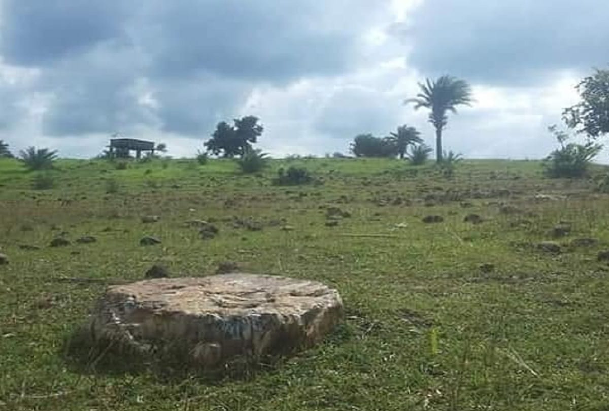 largest fossil discovery by two lecturers in kulgam samples will be sent to bhabha atomic research center