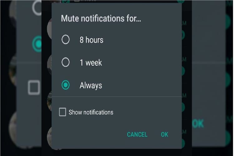Whatsapp New Feature Update Whatsapp Always Mute Feature Roll Out All