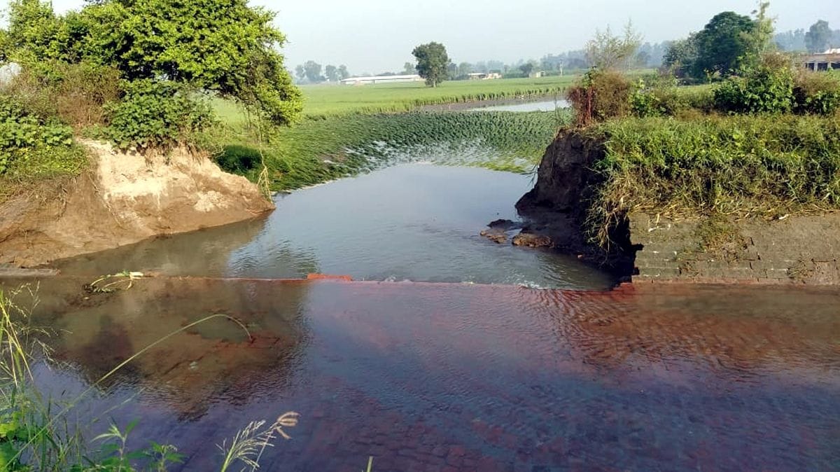 Water in paddy crop harvested due to rupture of Rajwaha, farmers demand compensation