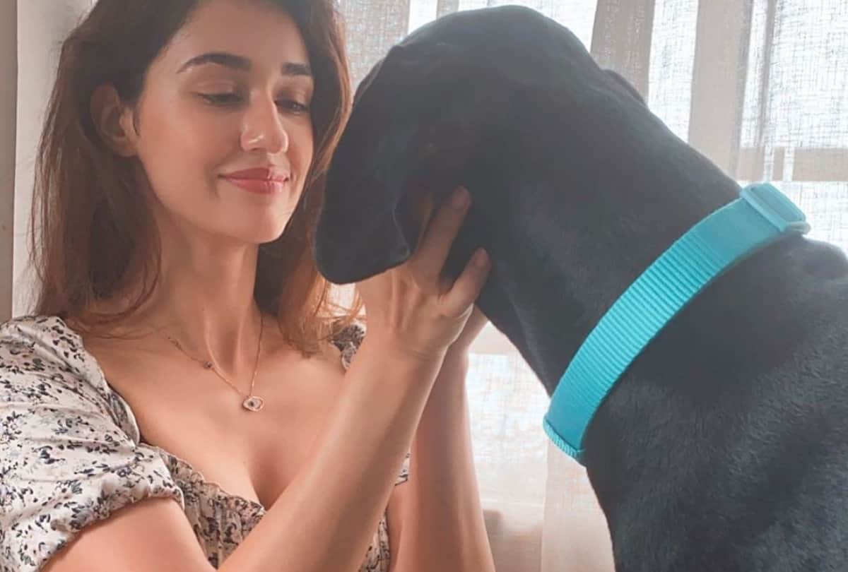 disha patani beautiful photos pictures images wallpaper download in hd disha patani floral dress