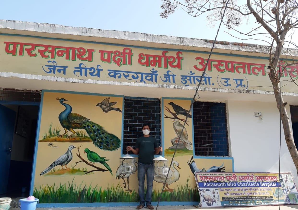 birds Treatment in jhansi