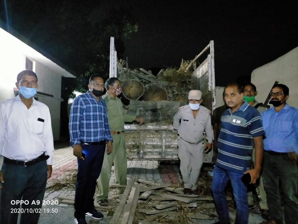 Forest team chased and caught more than 50 thousand wood