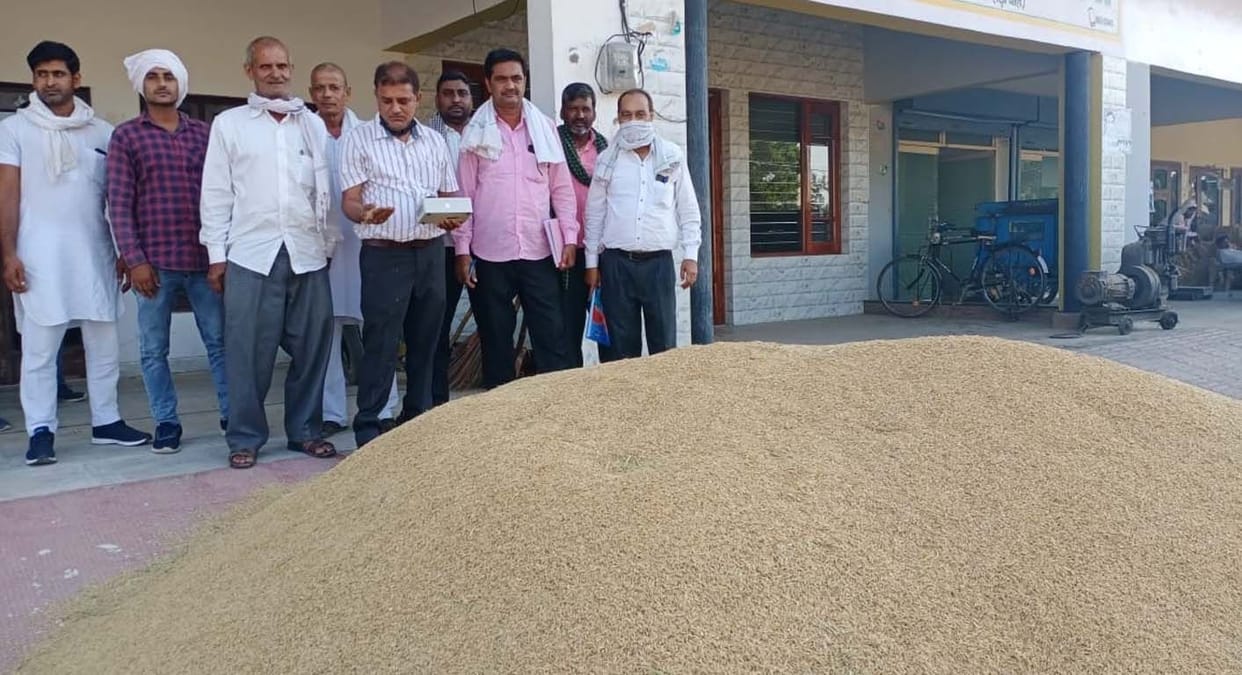 rice sell