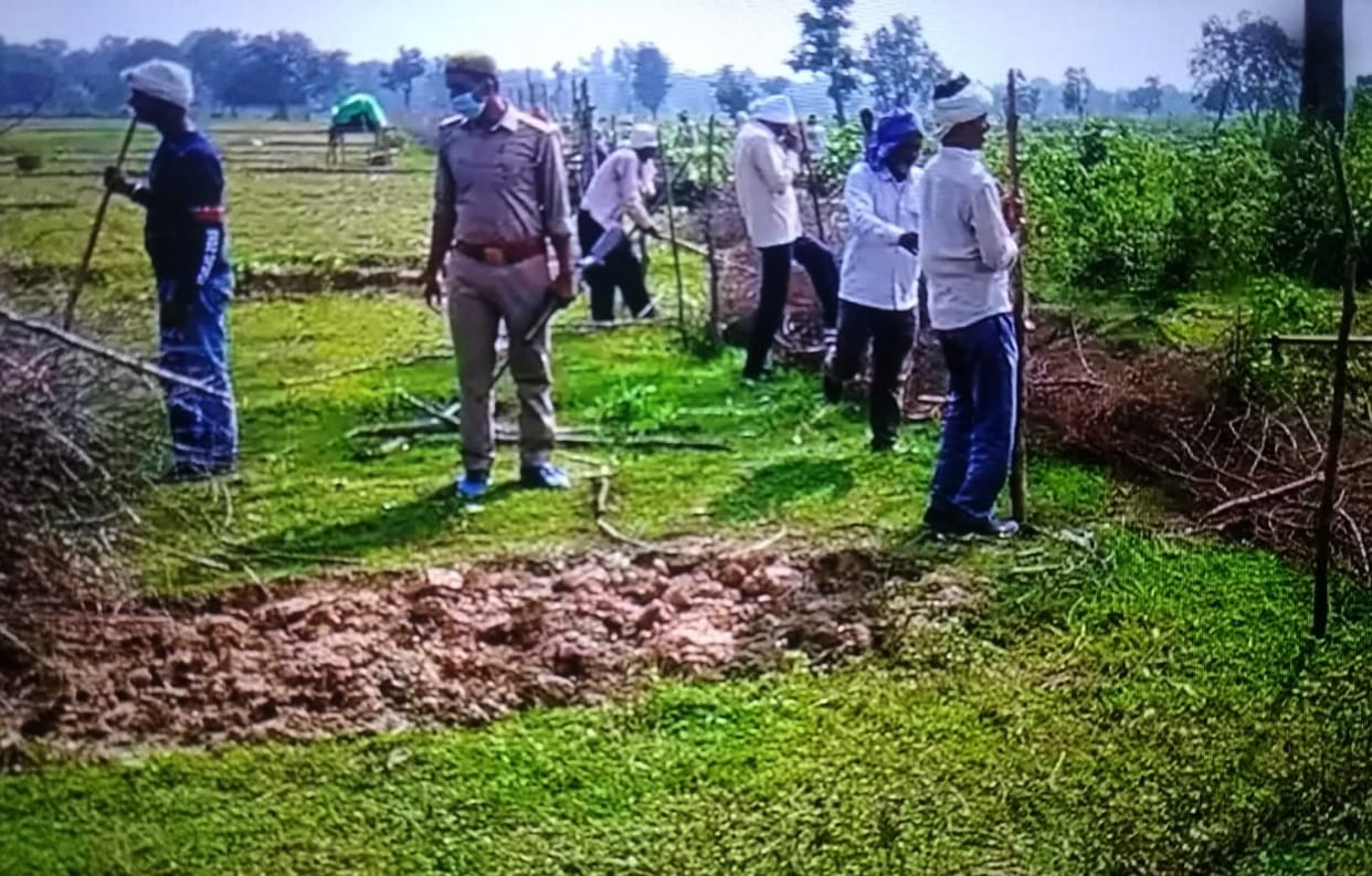 Illegal occupation removed from 20 hectares of forest land in Naugarh