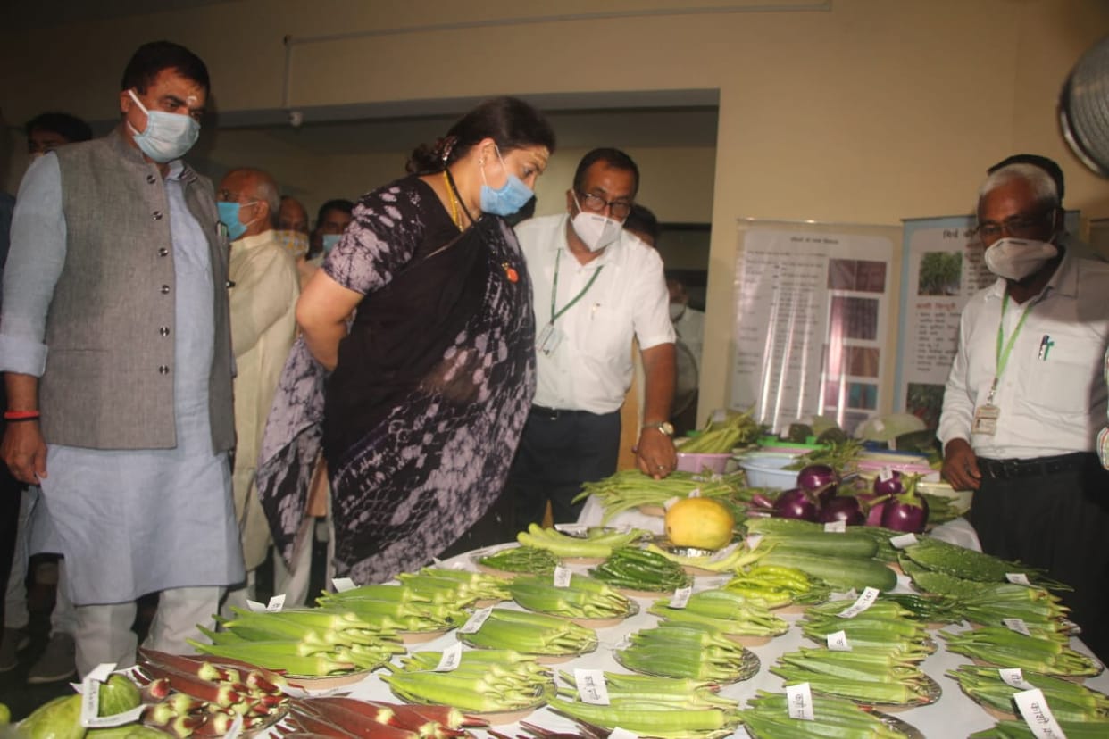 Smriti Irani accused Congress of hurting farmers