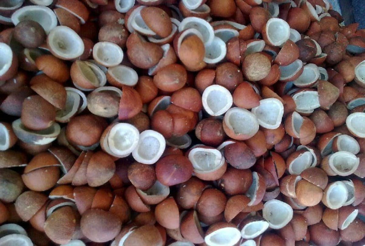 eat this things in mouth ulcer in hindi