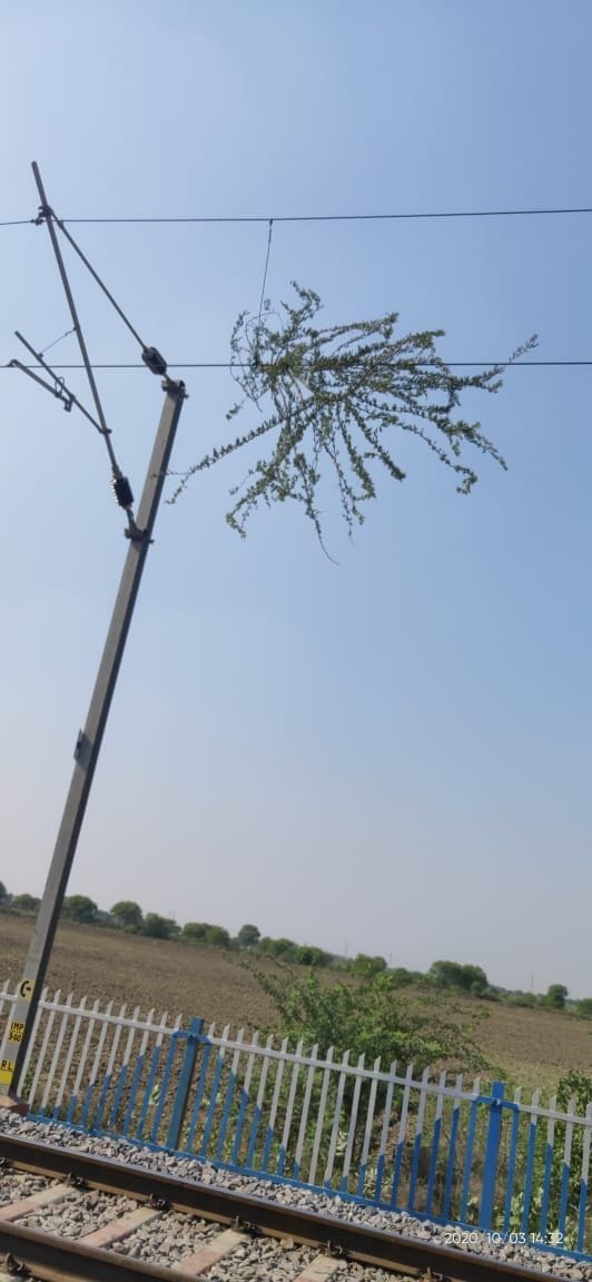 oechee lain mein jhaankar phansa, chaalak kee soojhaboojh se haadasa bacha